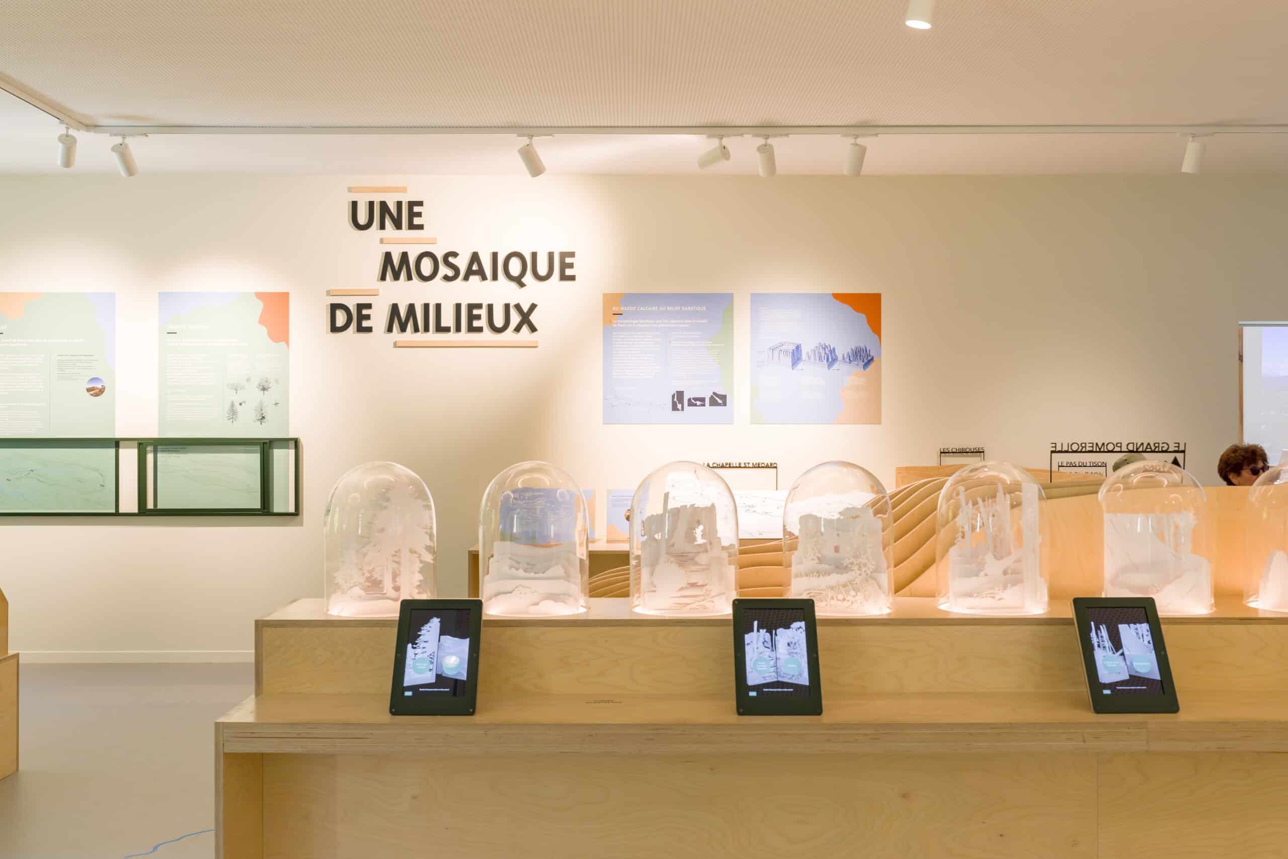 Focus sur la scénographie de l'exposition permanente "Secrets de Forêt"