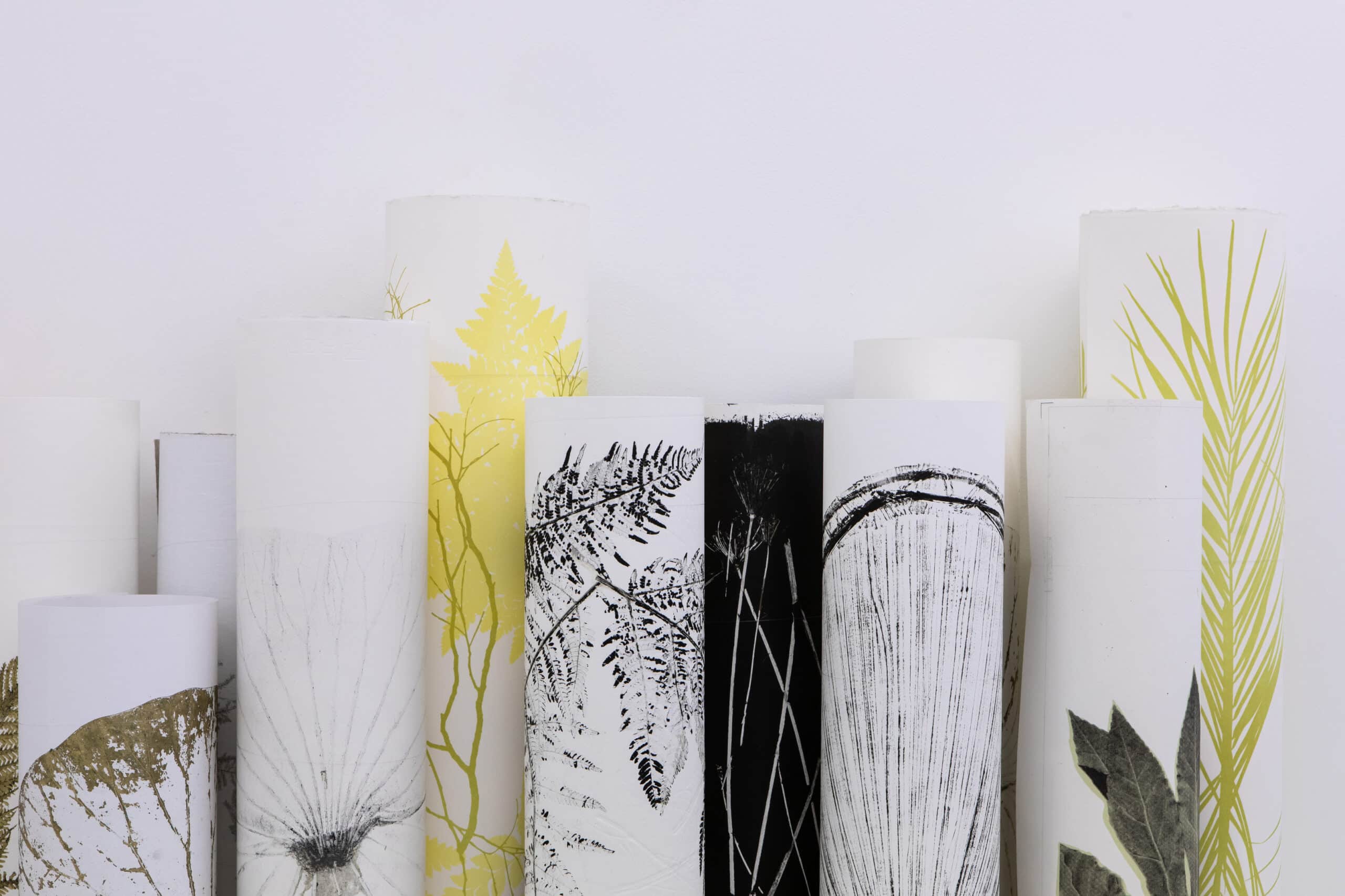 Rouleaux de papier figurant les herbiers de Marie Denis